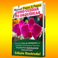 Manual Passo a Passo Como Cuidar de Orquídeas PDF DOWNLOAD GRATIS BAIXAR EBOOK